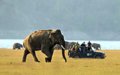 6 Nights | 7 Days Kaziranga – Shillong – Cherrapunjee Tour