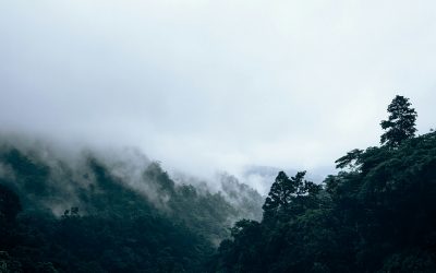 2 Nights | 3 Days Guwahati – Cherrapunjee – Dawki – Mawlynnong – Shillong
